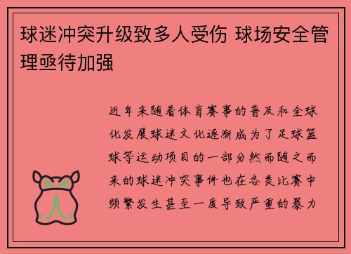 球迷冲突升级致多人受伤 球场安全管理亟待加强
